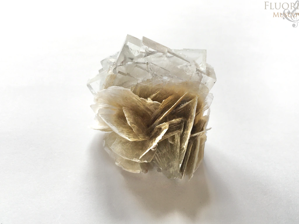 Fluorite from Mount Little Xuebaoding, Pingwu Co., Sichuan, China image