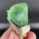specimen video