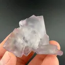 Fluorite from Naica, Chihuahua, Mexico - image 2