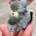 Fluorite from Nashik, Nashik District, Nashik Division, Maharashtra, India - image 7