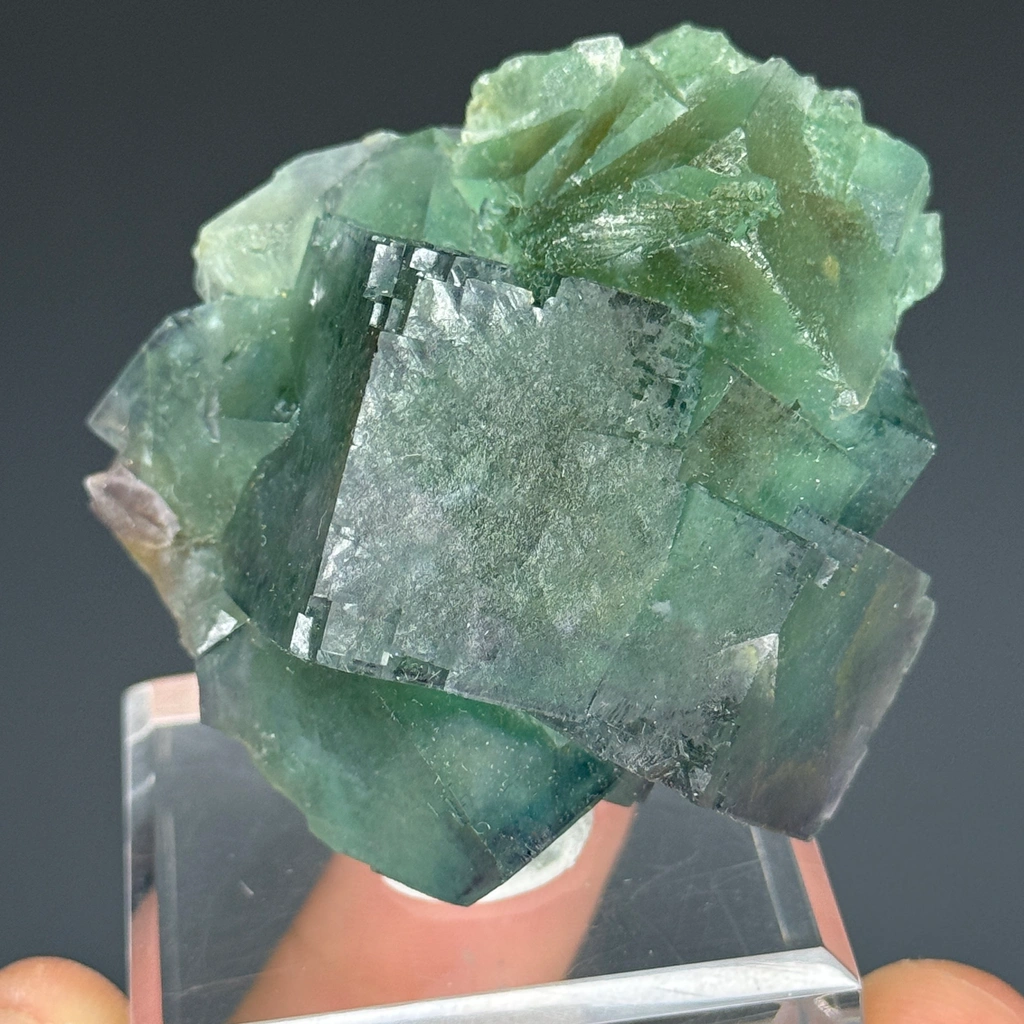 Fluorite from Okorusu Mine, Otjiwarongo Constituency, Otjozondjupa Region, Namibia - image 2