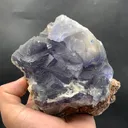 specimen video