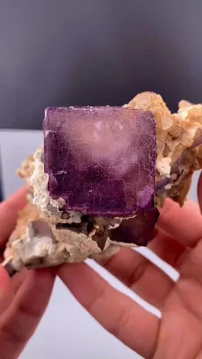 specimen video
