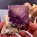 specimen video