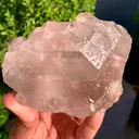 specimen video