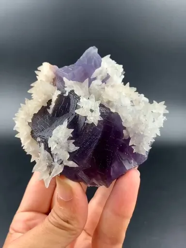 specimen video