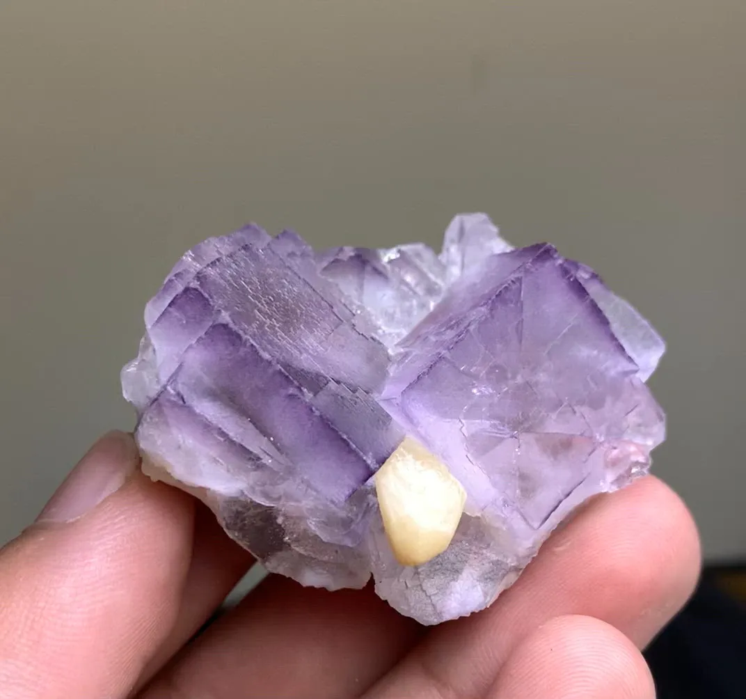 specimen video