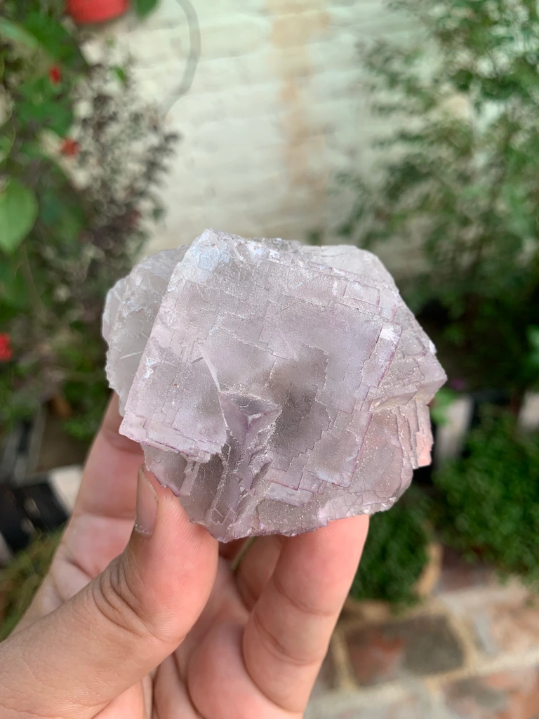 Fluorite from Pakistan image