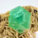 Fluorite from Pakistan - image 3