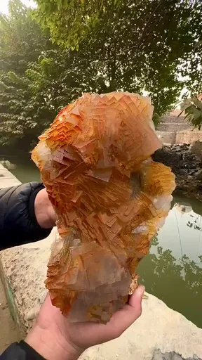 specimen video