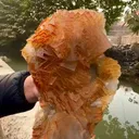 specimen video