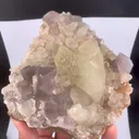 specimen video