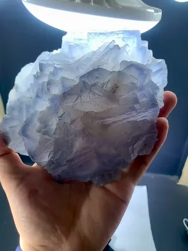specimen video