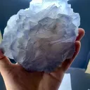 specimen video