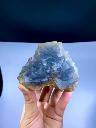 specimen video