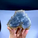 specimen video