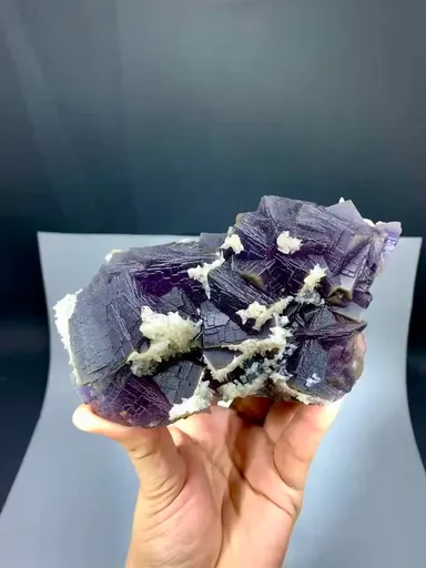 specimen video