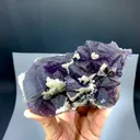 specimen video
