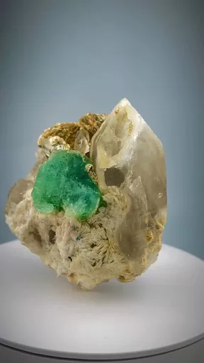 specimen video