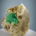 specimen video