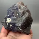 specimen video