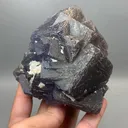 specimen video