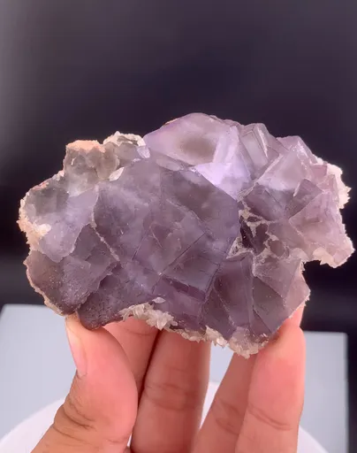 specimen video