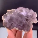 specimen video
