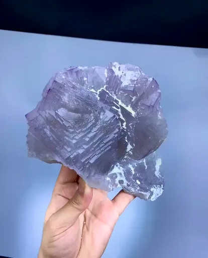 specimen video