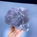 specimen video