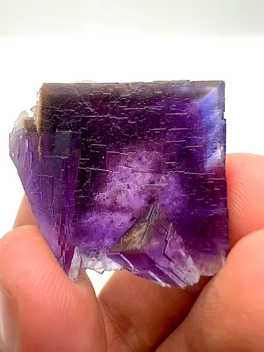 specimen video