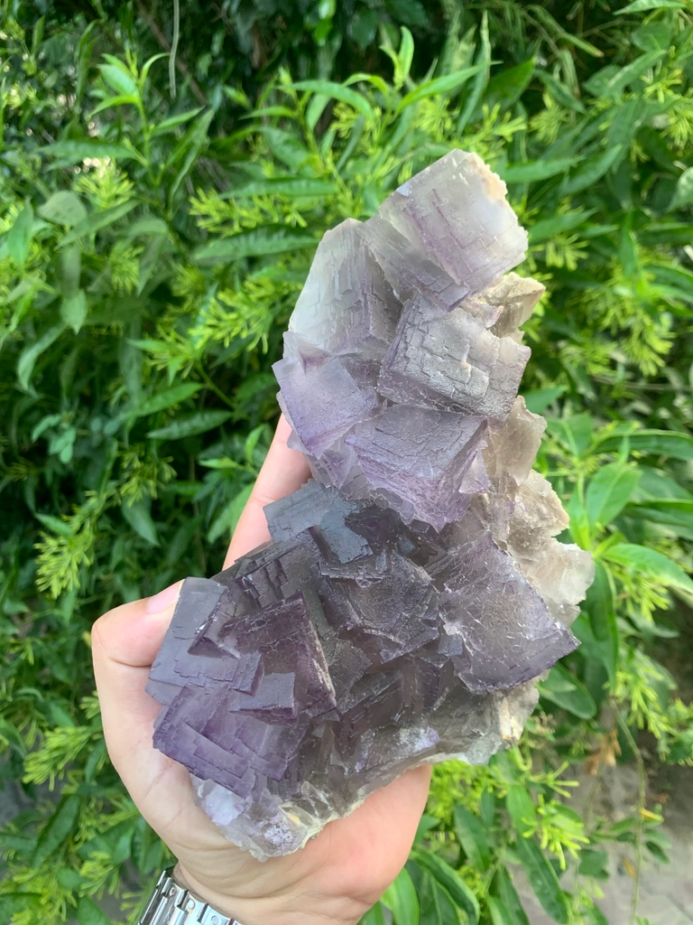 Fluorite from Pakistan image