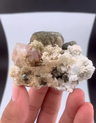 specimen video