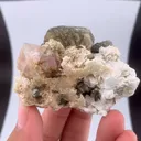 specimen video