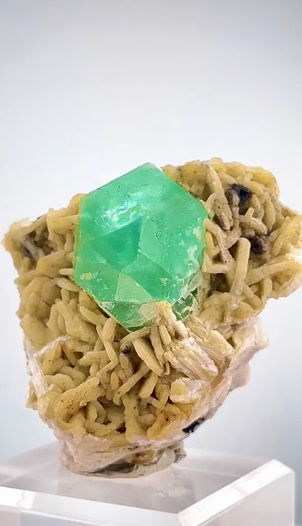 Fluorite from Pakistan image