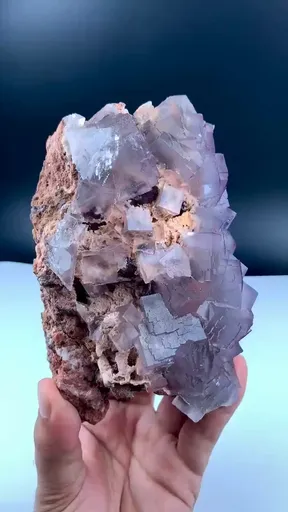 specimen video