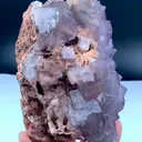 specimen video