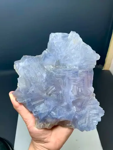 specimen video