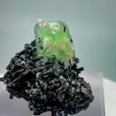 specimen video