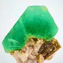 specimen video