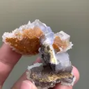 specimen video