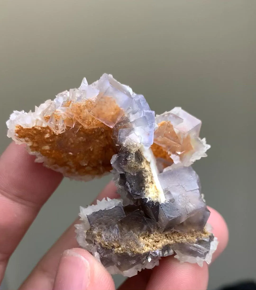 specimen video