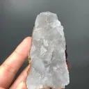 specimen video