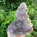 Fluorite from Pakistan - image 4