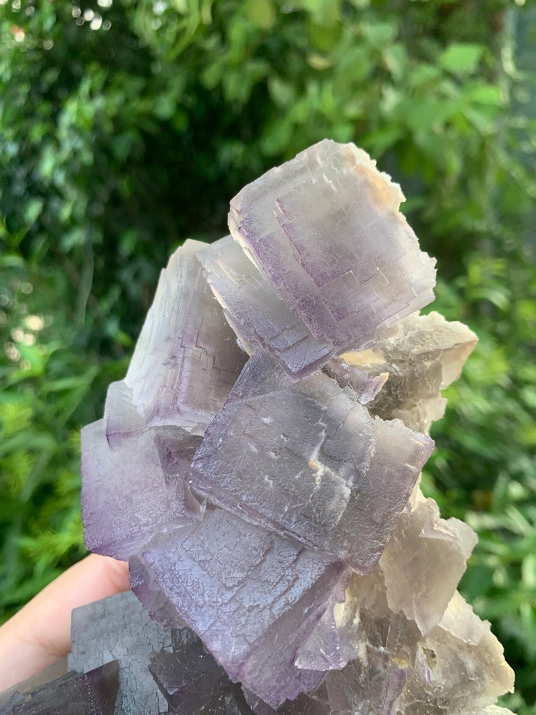 Fluorite from Pakistan - image 3