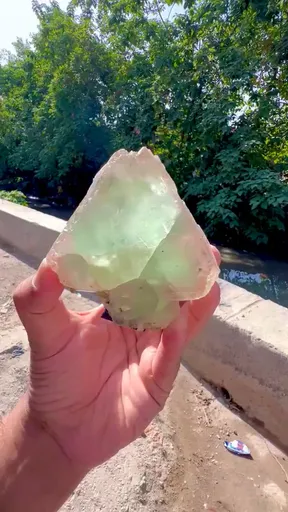 specimen video