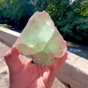 specimen video