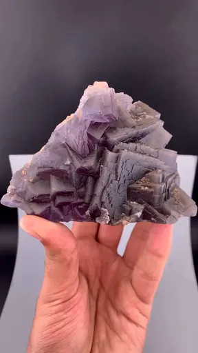 specimen video