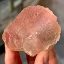 specimen video