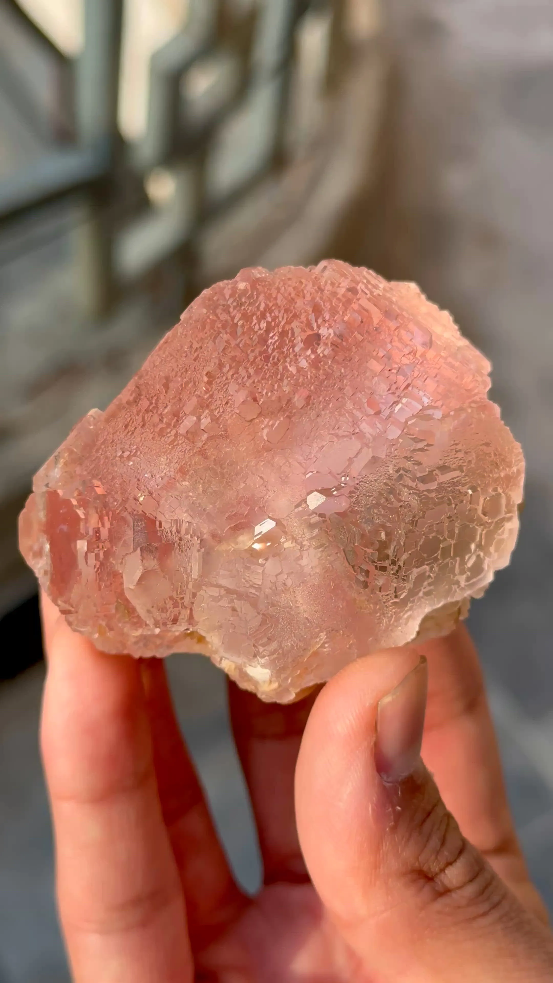 specimen video